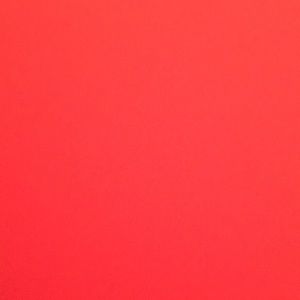 Meet your Posher, Ella